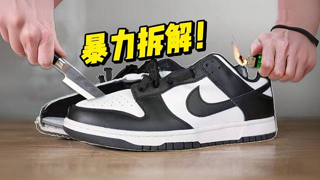 拆开正品的dunk熊猫，对比199￥莆田货，结果惊掉下巴，不仅有气垫甚至一模一样啊？？！