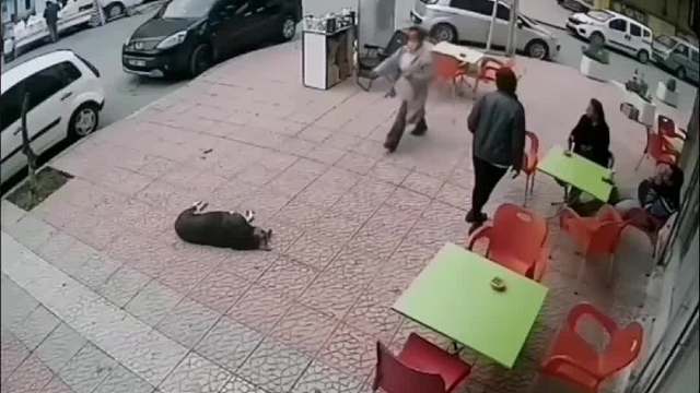 没有危险的时候，爸爸就是最大的危险。