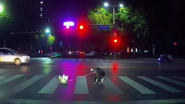 熊：我看是给你俩脸了