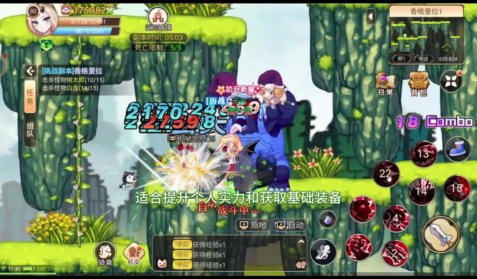 永恒岛的迷雾幽影之森