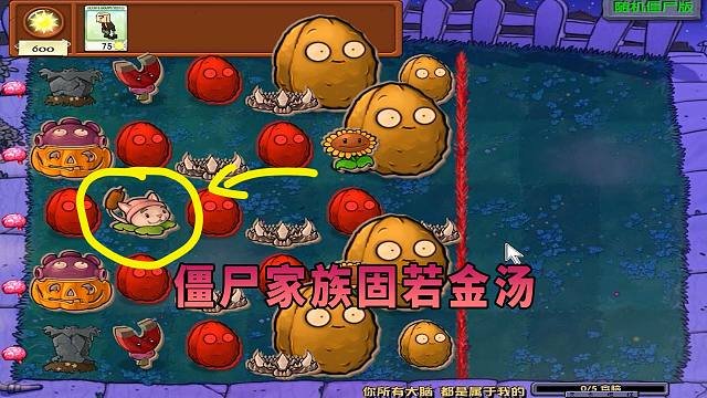 【植物大战僵尸】僵尸家族固若金汤！