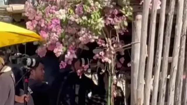 #虞书欣 #丁禹兮 翻跳《forhastik》路透，等一个本人发送~