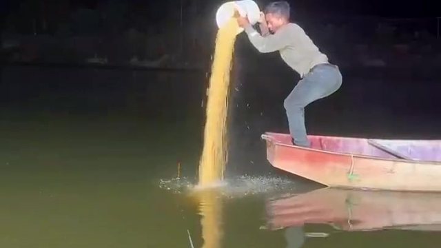 打窝打窝明早钓鱼