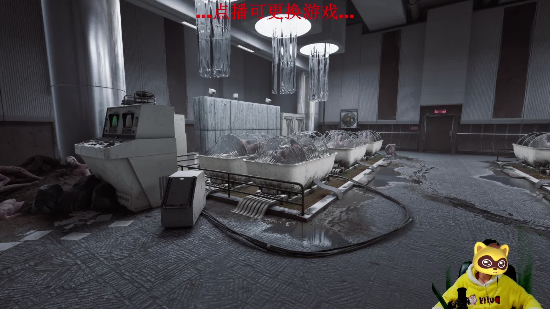 感谢  止诺老板开通的守护外加许愿树吼  起飞喽