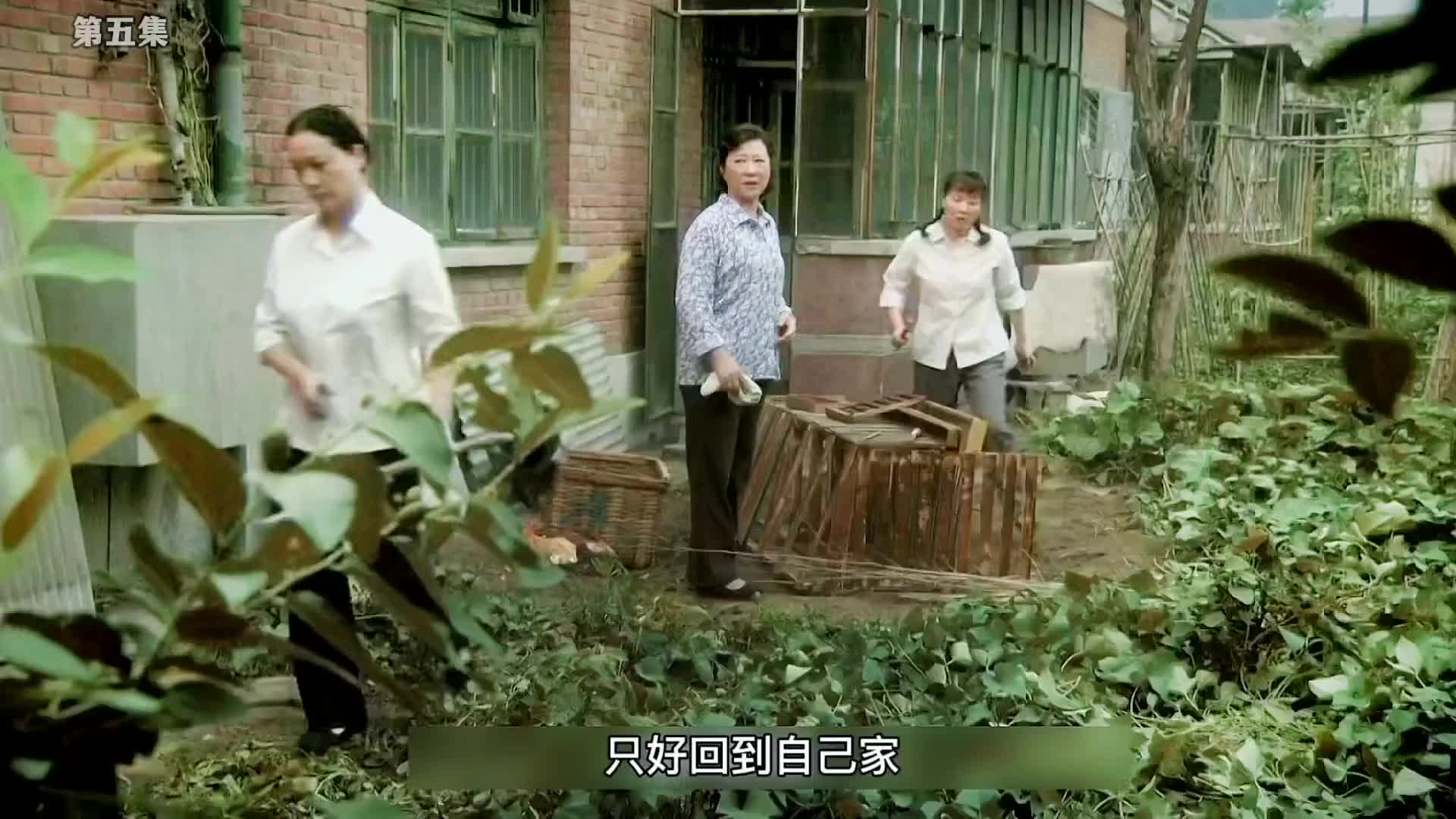 女人刚来城里，就跟邻居发生了冲突，没想到最后竟然发... 5