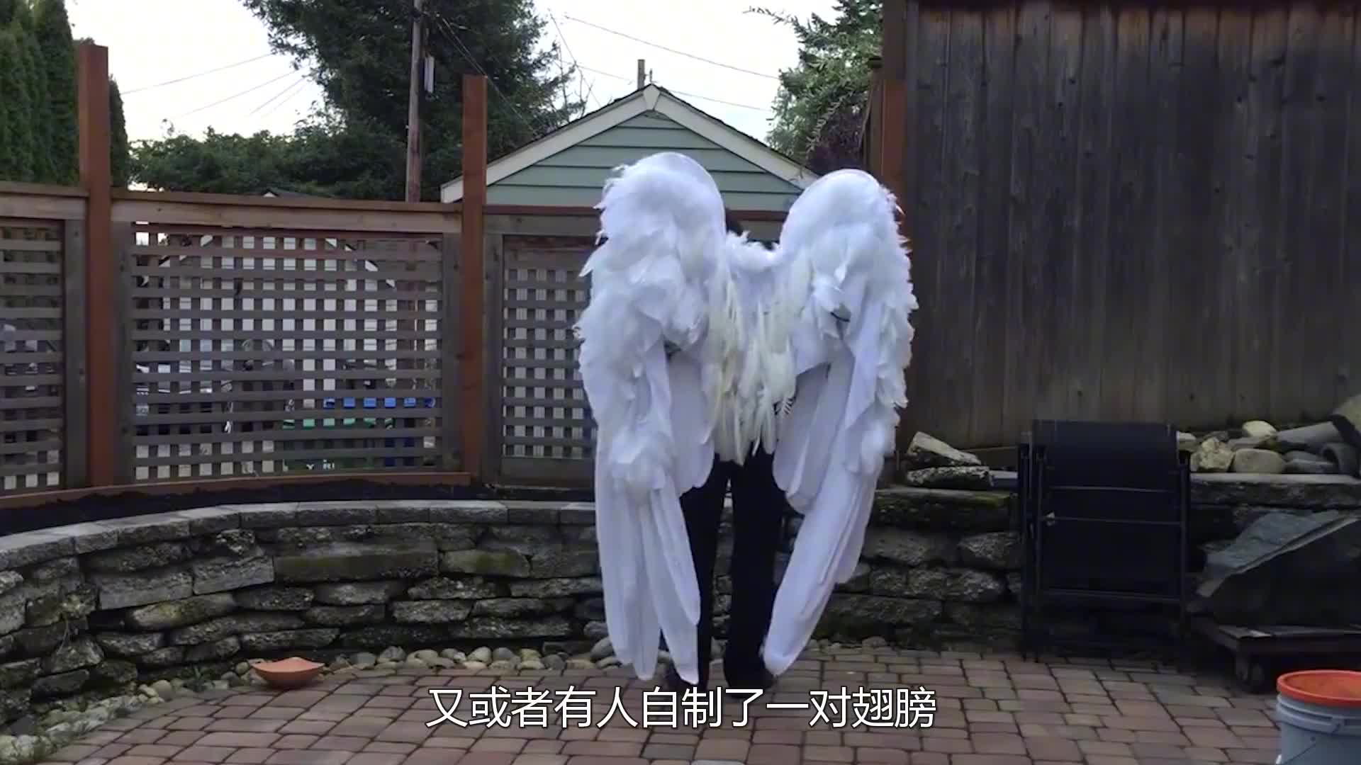 将25个风扇背在身上，能成功飞在天空吗？