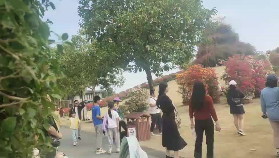 中国东盟博销集市南宁青秀山公园