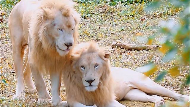 与好姐妹相爱相杀and跟好兄弟贴贴~我们是一辈子的好闺闺&好厚米