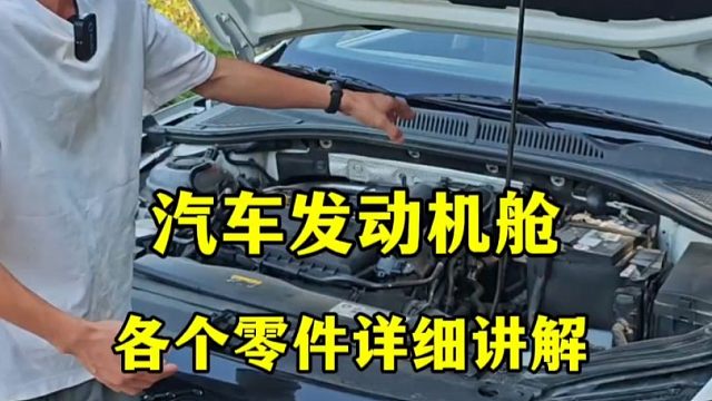 汽车发动机舱各个零部件详细讲解，新手建议看一看，提升行车经验