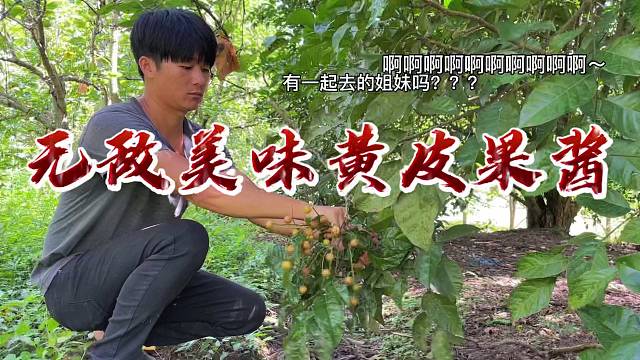 黄皮果酱的美味之旅，口感浓郁，甜而不腻。