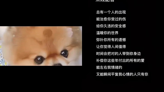 同步音律