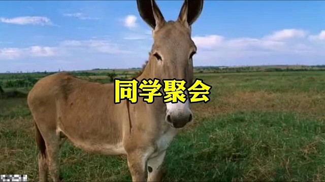 同学聚会嘴巴里塞什么东西呀？