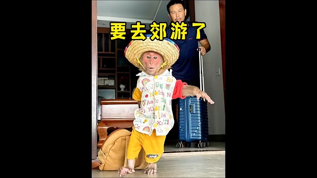 毛孩子，喜欢的关注一下