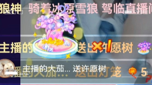 第一次见这么多树，果然有魅力，还得是你呀，我的“钞级英雄”