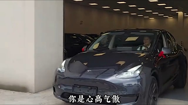 新能源的电池组