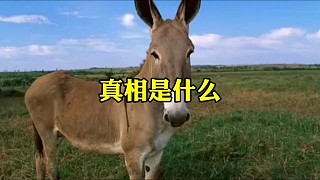 為什么被性侵是不知道反抗#老鐵知識(shí)百科 #女性安全