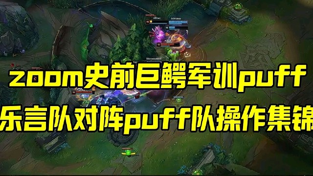 zoom史前巨鳄军训puff
乐言队对阵puff队操作集锦