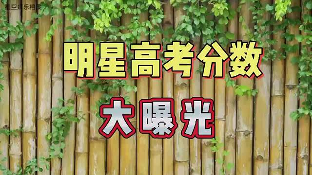 明星高考分数大曝光