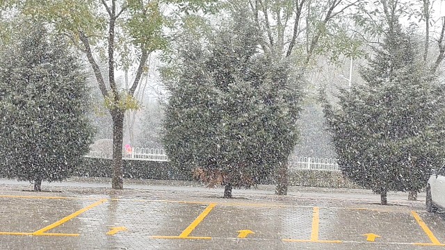 小伙伴们，又下雪啦