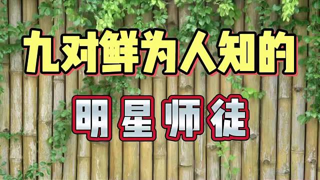九对明星师徒，鲜为人知的故事