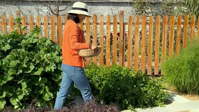 天越冷长得越好的六种菜