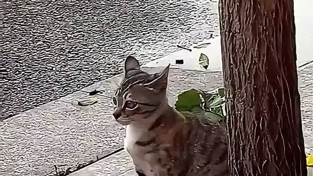 请文明驾车，不要乱鸣笛，哈哈哈哈