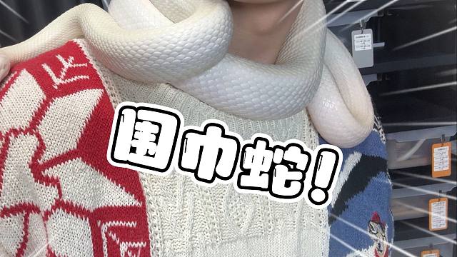 历时三年！我家白娘子给我养成了一条围巾！