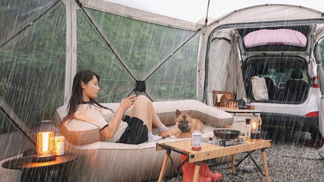 暴风雨露营，在大自然中和狗狗进行为期两天的森林浴