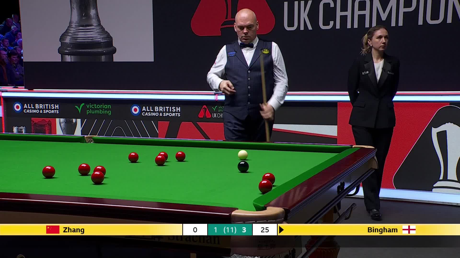 张安达VS斯图尔特·宾汉姆 2024斯诺克英国锦标赛 清流