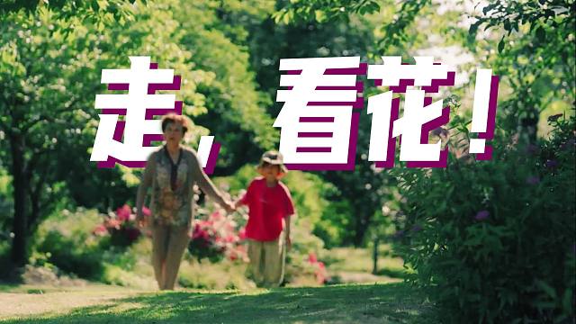 为什么要有植物园？上次看花时，是谁和你一起的~