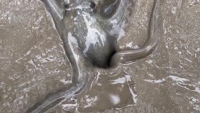 高手啊，这也太解压了吧！