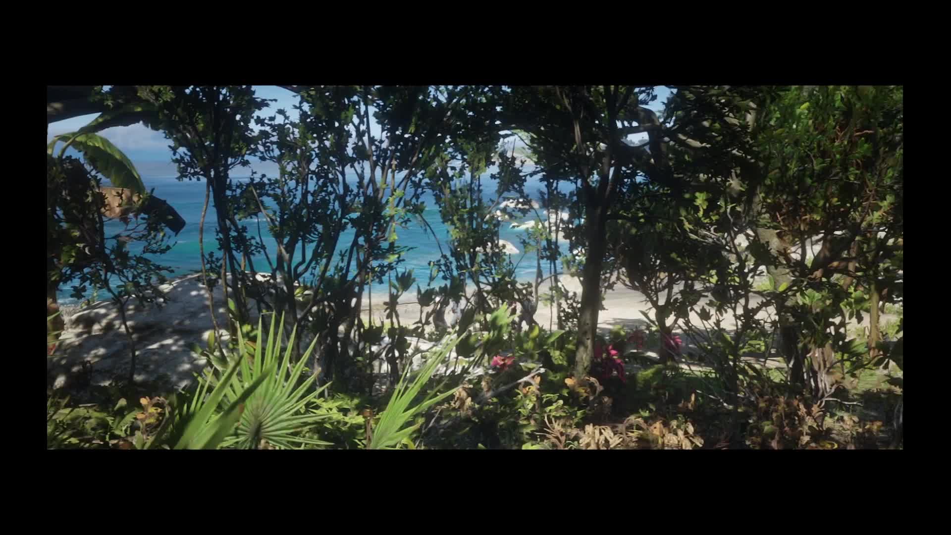 十九、流亡瓜玛岛