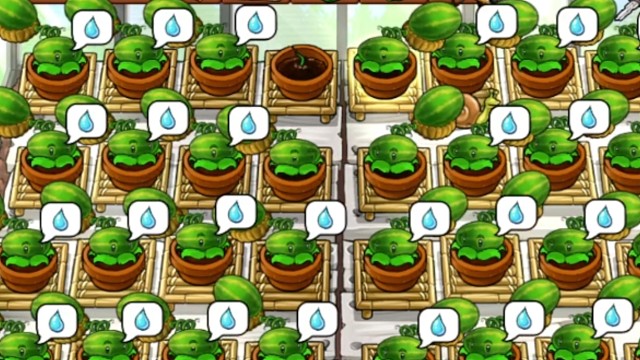 【开西瓜】怪不得这盆浇这么多水