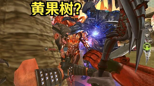 终结者：这棵树怎么长小黄了？