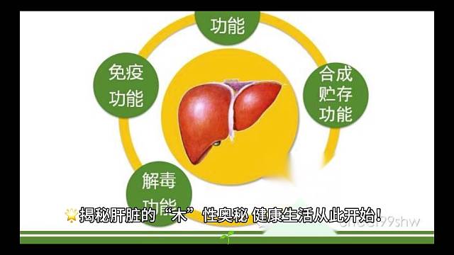 揭秘肝脏的“木”性奥秘，健康生活从此开始！