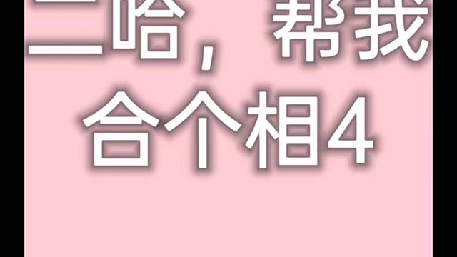 问道手游：合个相4