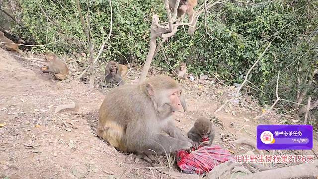 大公主发福利咯！