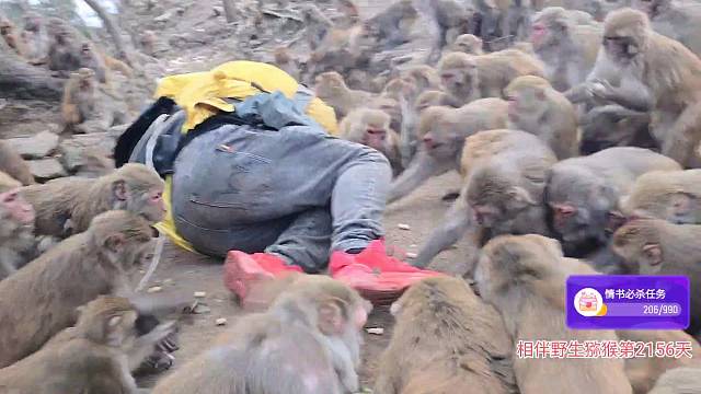 翻滚吧罗大脸 哈哈哈哈