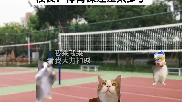 副校长：做的好呀