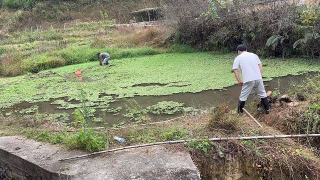 农村二十年没旱过的鱼塘能抓到什么