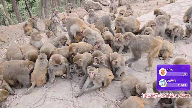 感谢茶哥的食物～