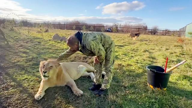 年轻狮子：在一声声“好孩子”中，迷失了自我