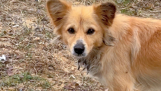 希望下次见面你不要那么怕我