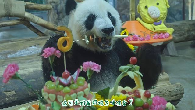 贡贡&舜舜：记得来海野找我们玩呀~