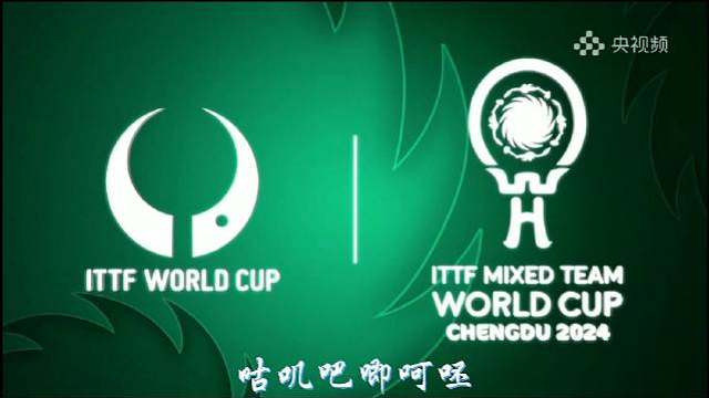 恭喜孙颖莎！恭喜中国队