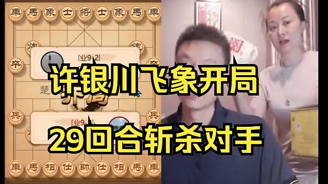 许银川飞象局教学，29回合斩杀业9！