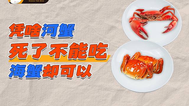 凭啥河蟹死了不能吃，海蟹却可以 | 榕哥烙科