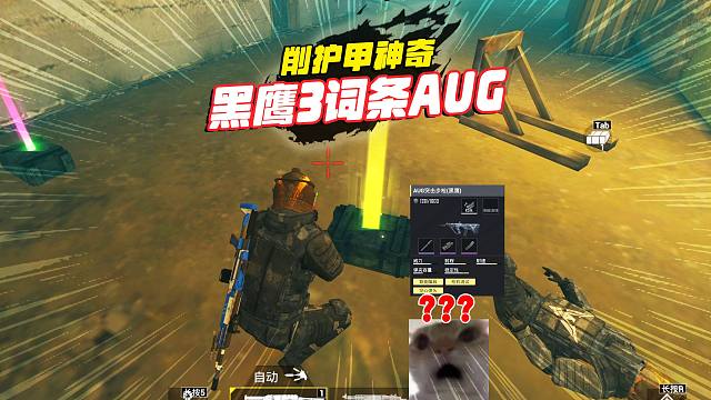 他拿的什么武器，真是削弱护甲的神器，哇塞金光3词条AUG哦！