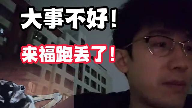 大事不好！来福（蔡哥养的狗）跑丢了！
