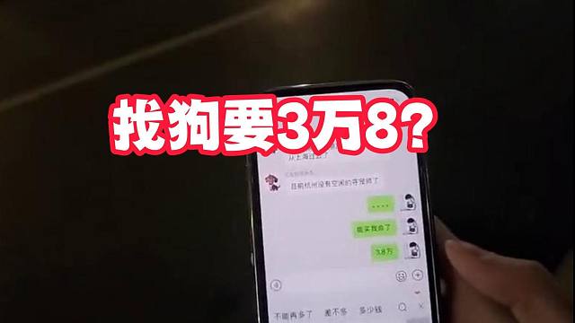 找狗要3万8？